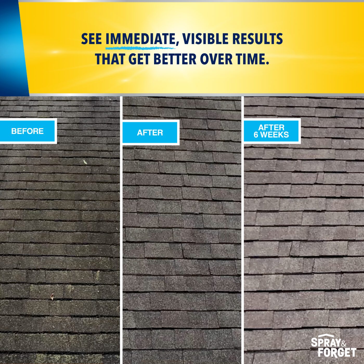 SF Revolutionary Roof Clnr Concentrate GAL Spray &
